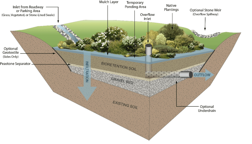 Why Maintenance Of A Bioretention Is Critical - Part 1